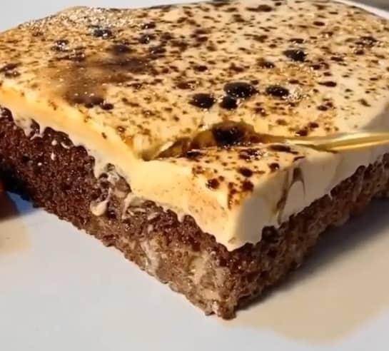 طريقة تحضير كيكة الكابتشينو الباردة طريقة تحضير كيكة الكابتشينو الباردة
