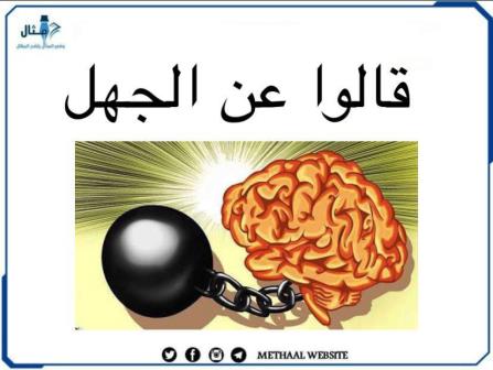 قالوا عن الجهل قالوا عن الجهل