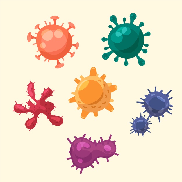 ما هي الفيروسات؟