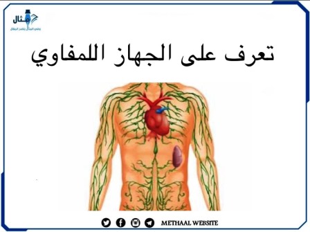 تعرف على الجهاز اللمفاوي