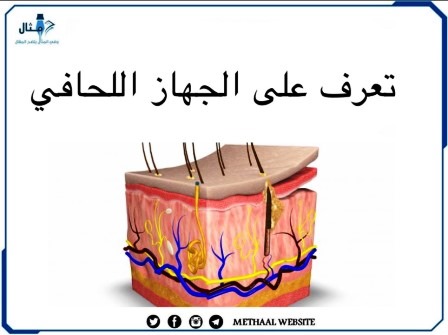 تعرف على الجهاز اللحافي