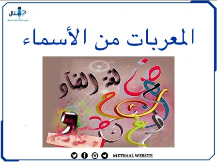 المعربات من الأسماء 