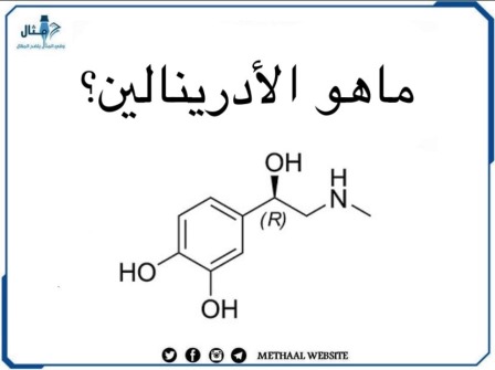 ماهو الأدرينالين؟