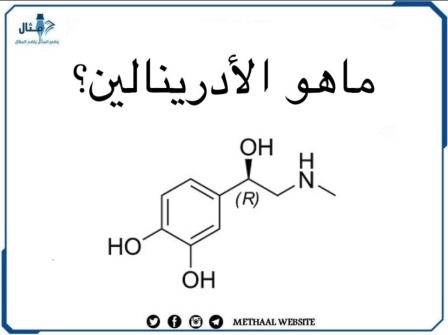 ماهو الأدرينالين؟