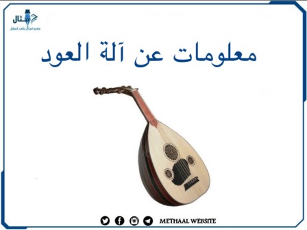 معلومات عن آلة العود