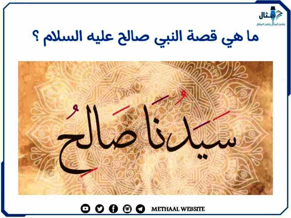 ما هي قصة النبي صالح عليه السلام؟ ما هي قصة النبي صالح عليه السلام؟