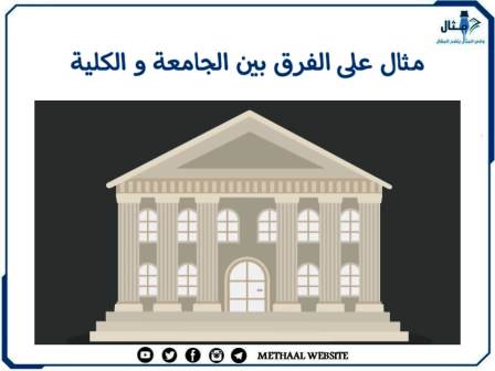 مثال على الفرق بين الجامعة والكلية 