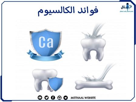 مثال على فوائد الكالسيوم