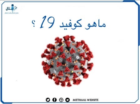 ما هو كوفيد 19؟