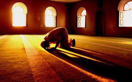 فوائد الصلاة وحكم تاركها فوائد الصلاة وحكم تاركها