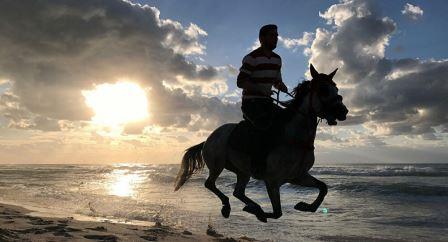 مثال على ألعاب سباق الخيل مثال على ألعاب سباق الخيل