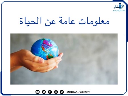 معلومات عامة عن الحياة