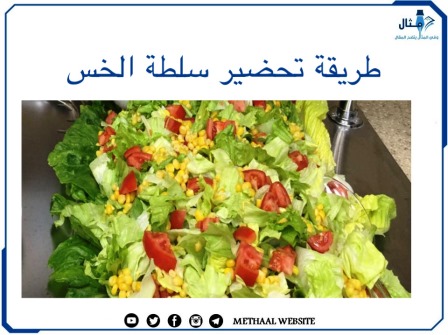 طريقة تحضير سلطة الخس