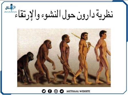 نظرية دارون حول النشوء والإرتقاء نظرية دارون حول النشوء والإرتقاء