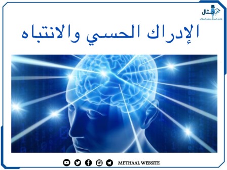 الإدراك الحسي والانتباه