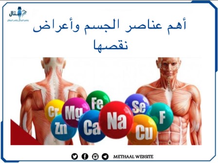 أهم عناصر الجسم وأعراض نقصها