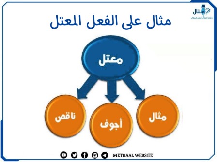 ماهو الفعل المعتل في اللغة العربية  تعرف عليه وعلى 3 من أنواعه مع الأمثلة على ذلك 