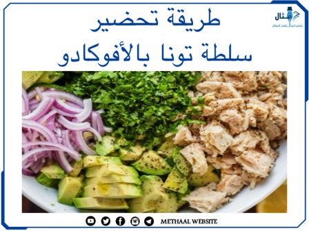 طريقة تحضير سلطة تونا بالأفوكادو 