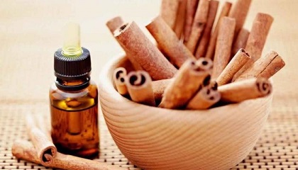 فوائد زيت القرفة فوائد زيت القرفة