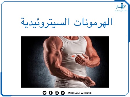 الهرمونات السيتروئيدية