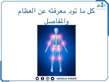 كل ما تود معرفته عن العظام والمفاصل
