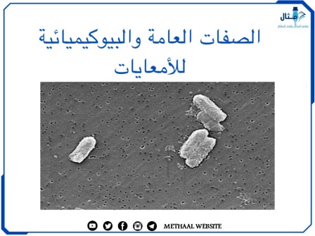 الصفات العامة والبيوكيميائية للأمعائيات