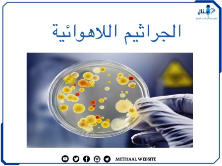 الجراثيم اللاهوائية Anaerobic