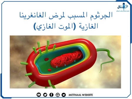 الجرثوم المسبب لمرض الغانغرينا الغازية (الموت الغازي)