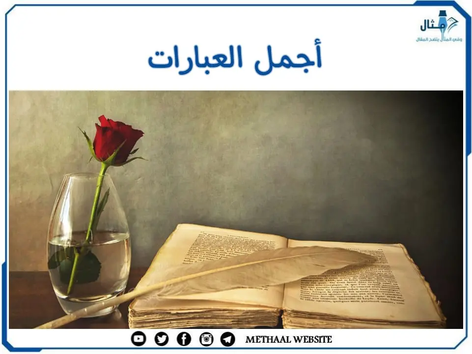 أجمل العبارات في عام 2022 أجمل العبارات في عام 2022