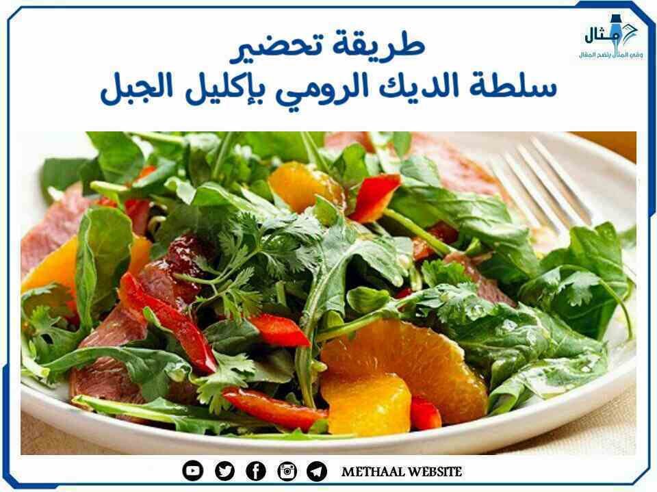 طريقة تحضير سلطة الديك الرومي بإكليل الجبل طريقة تحضير سلطة الديك الرومي بإكليل الجبل