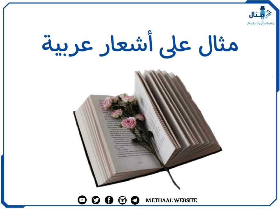 مثال على أشعار عربية