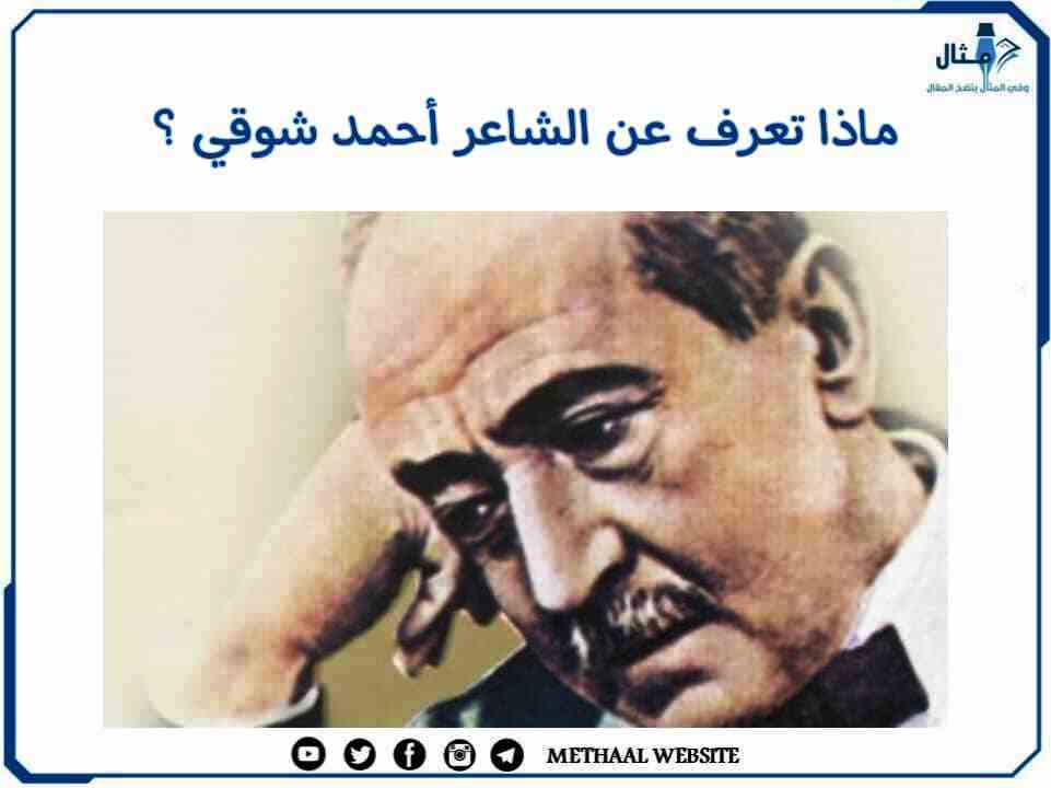 ماذا تعرف عن الشاعر أحمد شوقي؟ ماذا تعرف عن الشاعر أحمد شوقي؟
