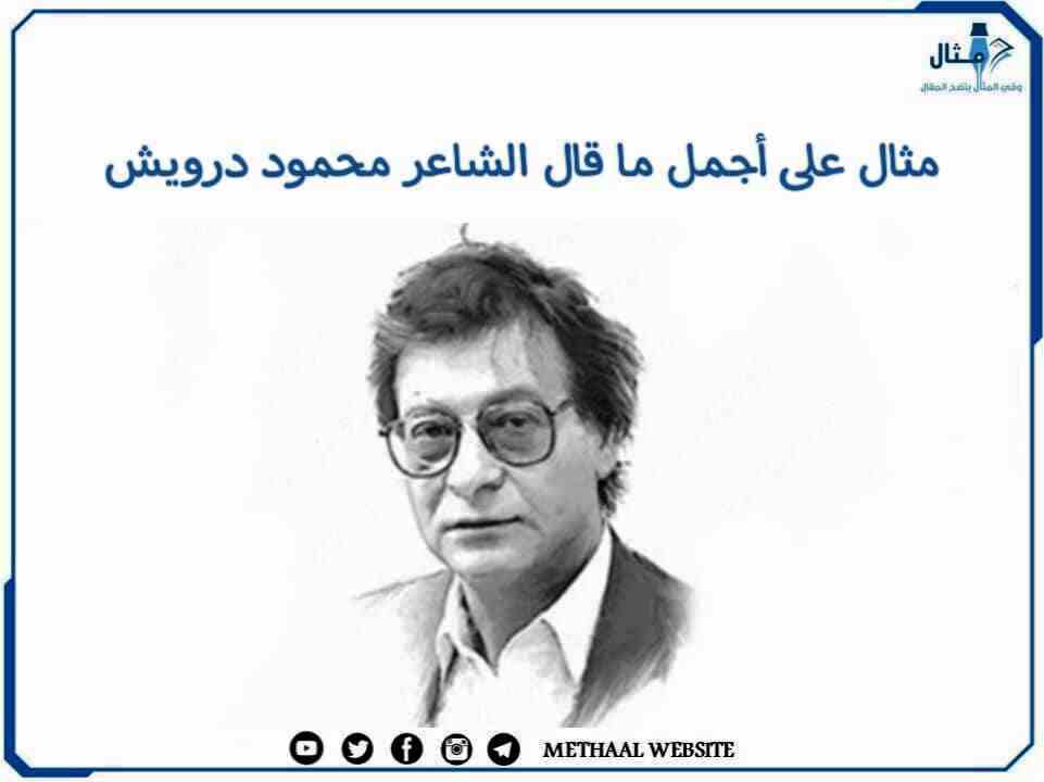 مثال على أجمل ما قال الشاعر محمود درويش مثال على أجمل ما قال الشاعر محمود درويش
