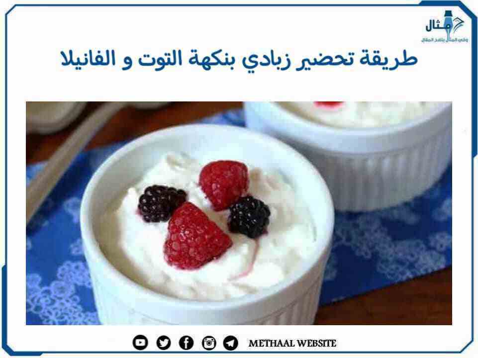 طريقة تحضير زبادي بنكهة التوت والفانيلا طريقة تحضير زبادي بنكهة التوت والفانيلا
