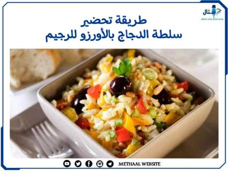 طريقة تحضير سلطة الدجاج بالأورزو للرجيم 