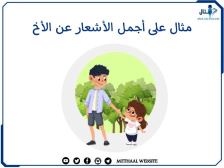 مثال على أجمل الأشعار عن الأخ