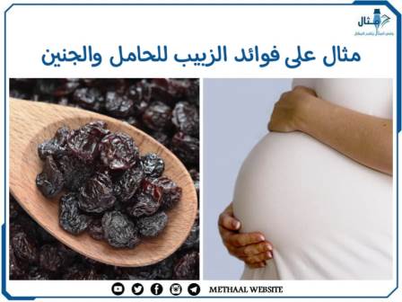 فوائد الزبيب للحامل والجنين