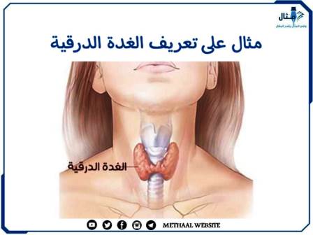 مثال على تعريف الغدة الدرقية