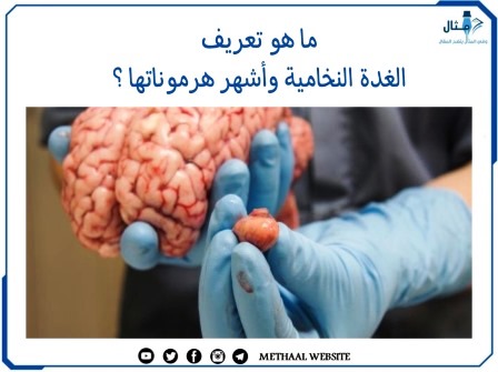 ما هو تعريف الغدة النخامية وأشهر هرموناتها ؟