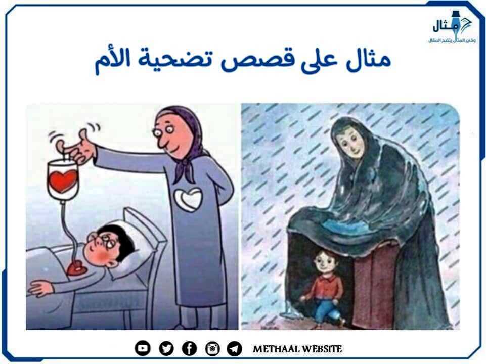 مثال على قصص تضحية الأم مثال على قصص تضحية الأم