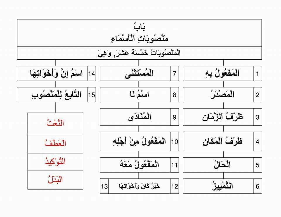 المنصوبات في اللغة 