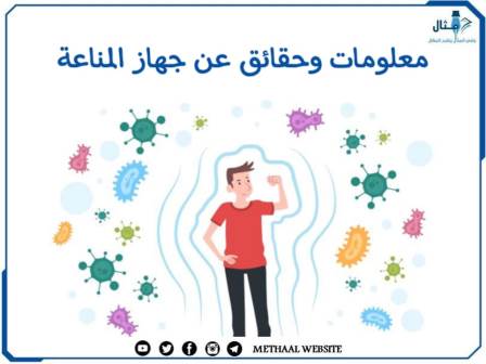 معلومات وحقائق عن جهاز المناعة