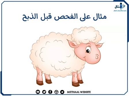 مثال على الفحص قبل الذبح