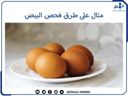 مثال على طرق فحص البيض