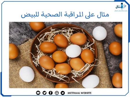 مثال على المراقبة الصحية للبيض