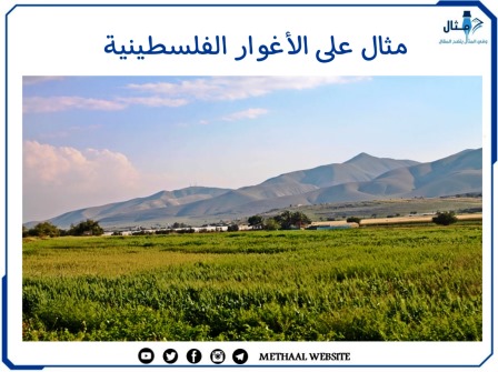مثال على الأغوار الفلسطينية