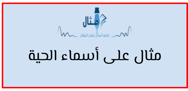 مثال على أسماء الحية 