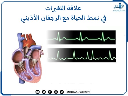 علاقة التغيرات في نمط الحياة مع الرجفان الأذيني