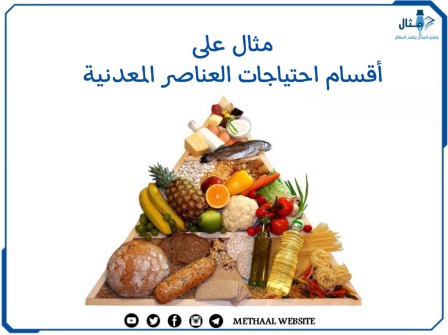 مثال على أقسام احتياجات العناصر المعدنية
