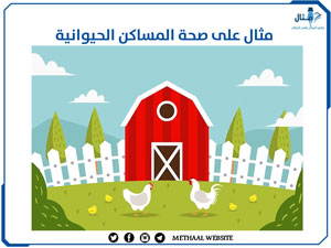 مثال على صحة المساكن الحيوانية مثال على صحة المساكن الحيوانية
